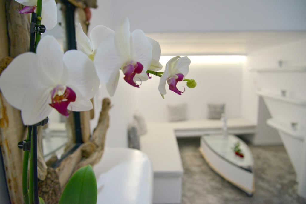 Moschoula Appartement Adámas